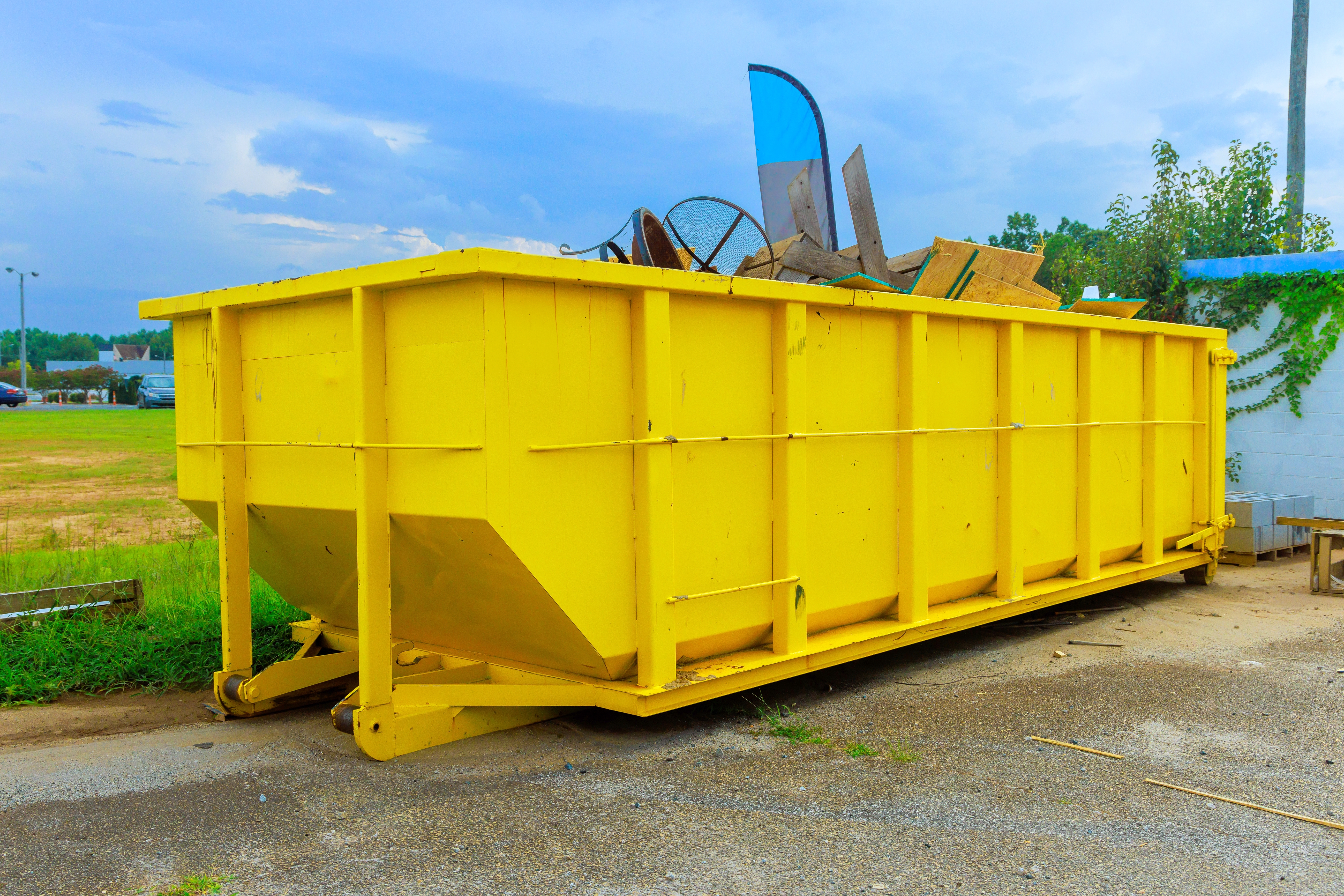 Cleanup and Haul-Off Services